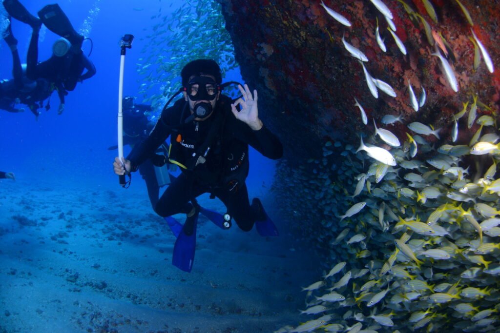 Man in full diving gear swimming underwater amidst a vibrant school of fish